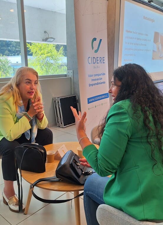 Red de Mentores CIDERE Biobío